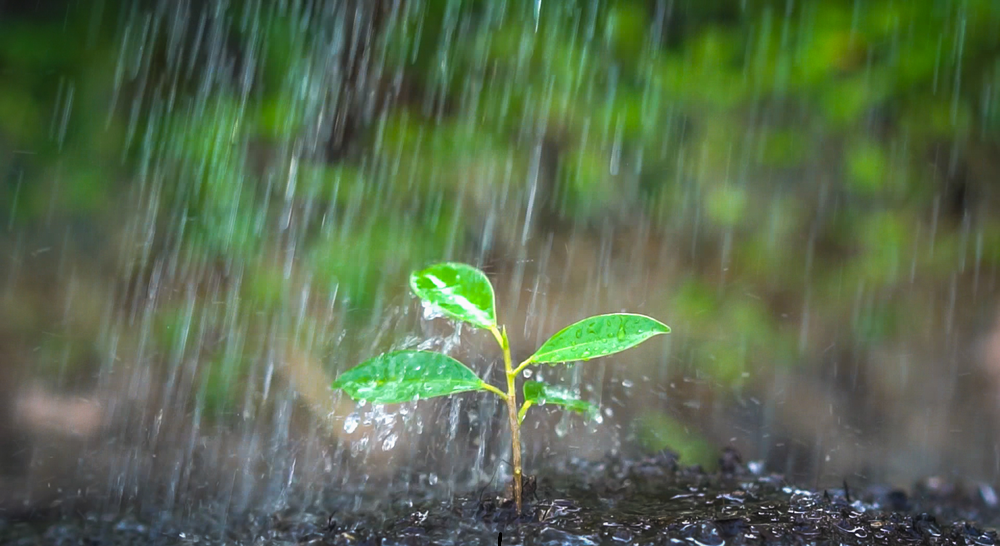 雨天